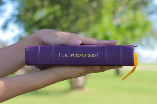 Verse of the Day - ‭‭James 1:3